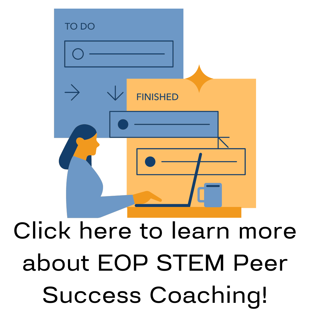 homepage-peer-success-coaching-graphic.png