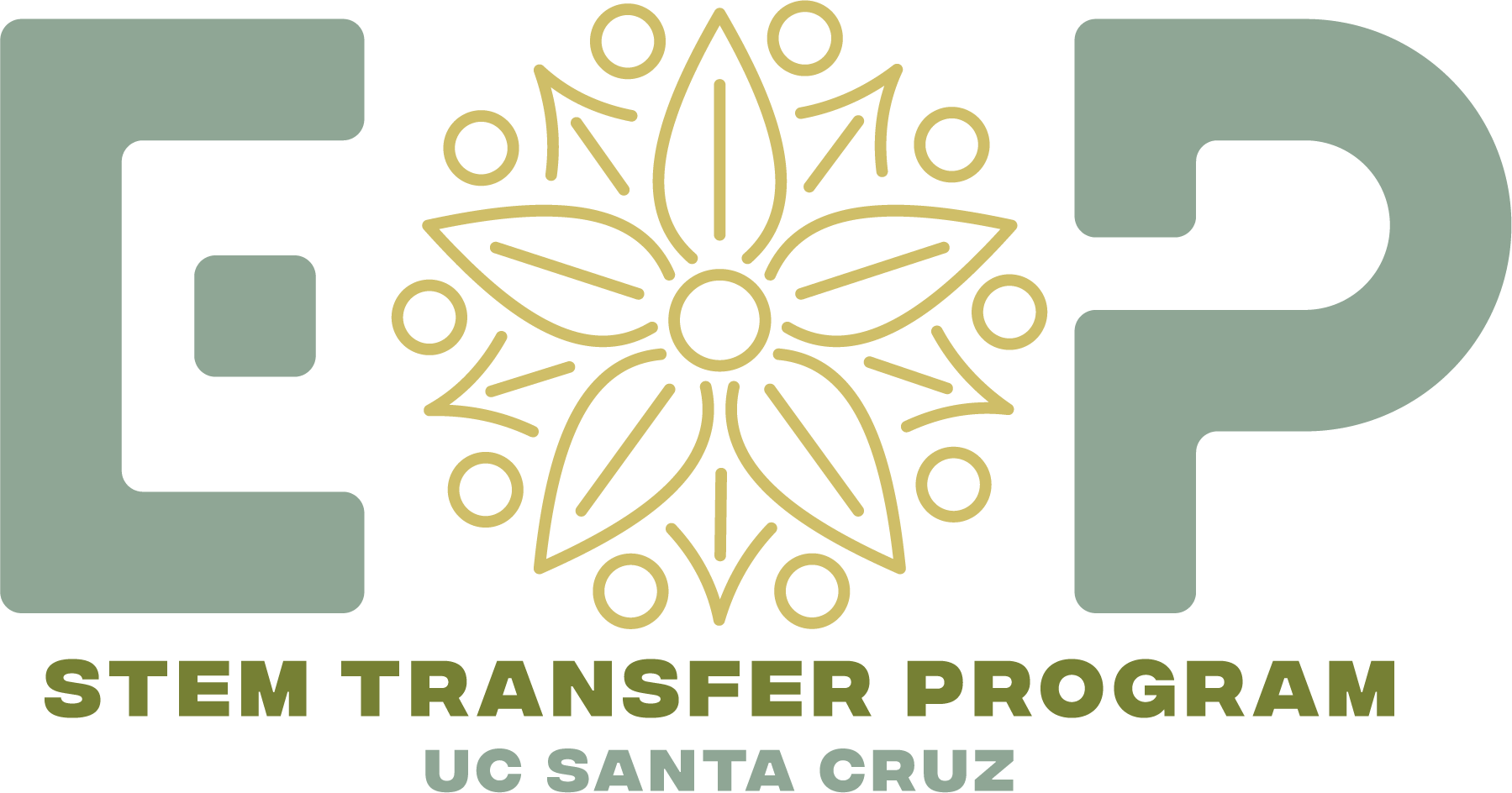 stem-transfer-program-logo.png